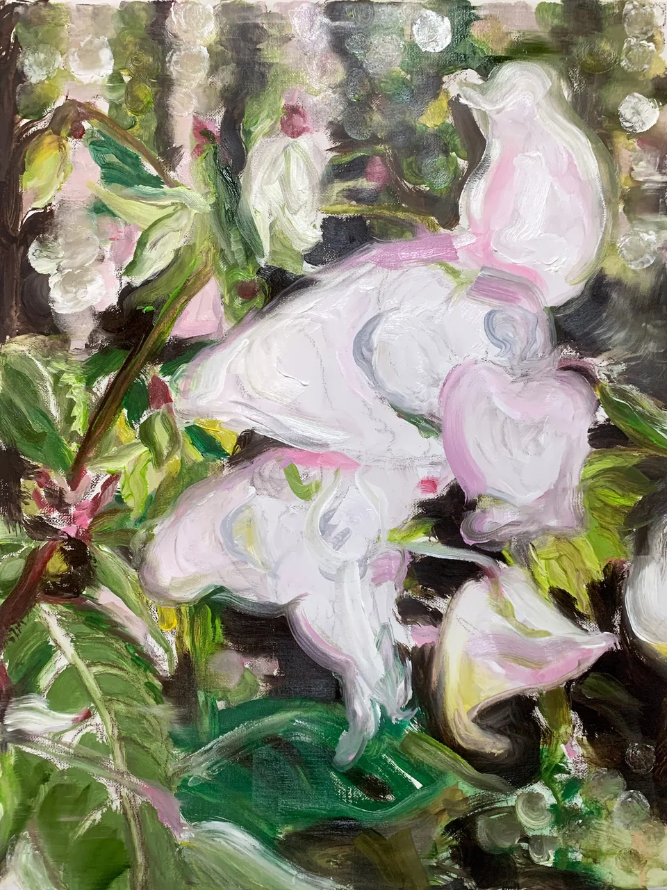TANJA SELZER | PINK WHITE | 2024