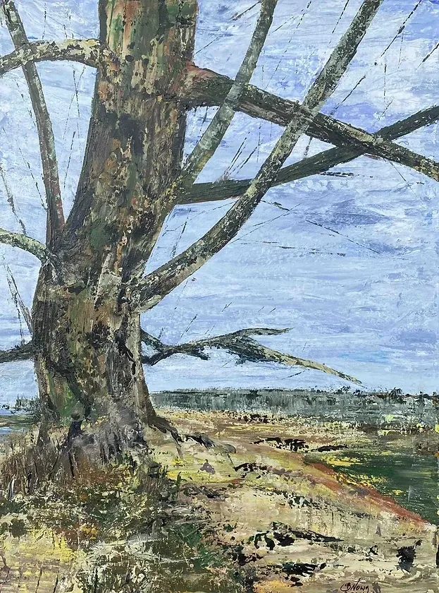 BARBARA NOWY